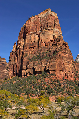 Angels Landing. Zion National Park - November 5, 2005.