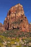 Angels Landing - Zion National Park