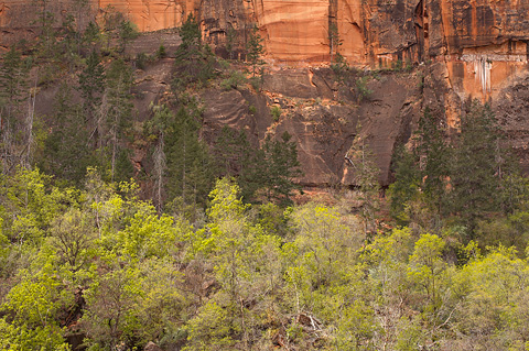 Colorful canyons at Big Bend. Zion National Park - April 8, 2007.