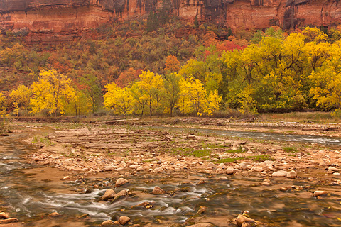 The colorful canyon walls of Big Bend. Zion National Park - October 28, 2007.