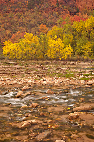 The Virgin River and final fall color. Zion National Park - October 28, 2007.