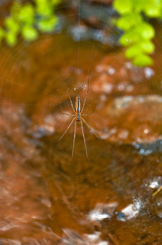 Zion National Park - May 12, 2006.