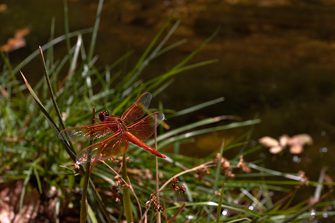 Zion National Park - October 7, 2004.