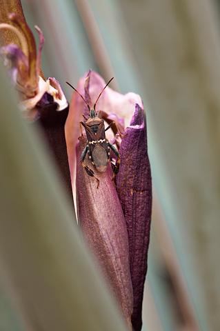 Zion National Park - May 2, 2009.