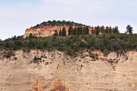 The top of Cathedral Mountain. Zion National Park - May 29, 2005.