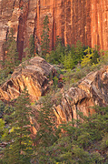 Red cliffs and massive boulders near the Zion-Mount Carmel Tunnel - Zion National Park