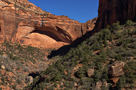 The Great Arch. Zion National Park - March 11, 2005.
