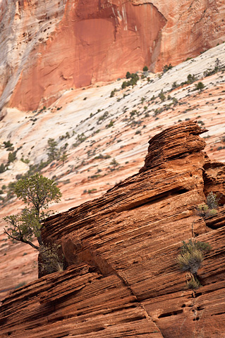 A small hoodoo in front of the East Temple. Zion National Park - April 6, 2007.