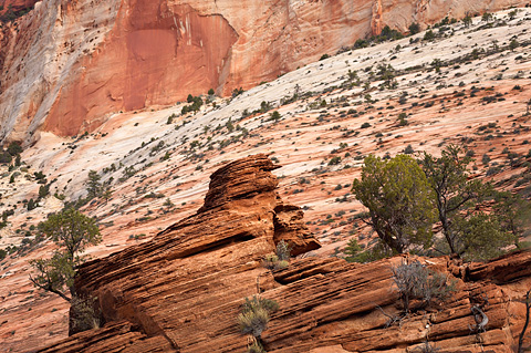 The East Temple and a small hoodoo. Zion National Park - April 6, 2007.