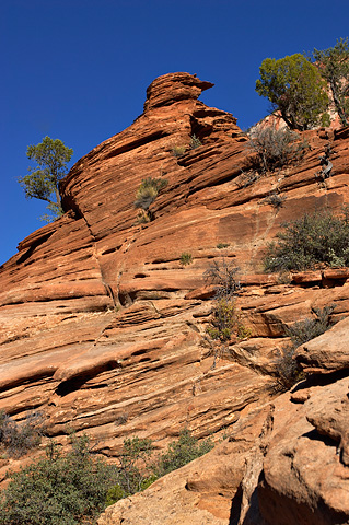 Sandstone hoodoos. Zion National Park - October 9, 2004.