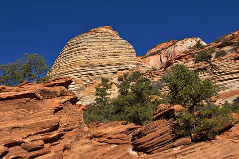 Slickrock and hoodoos. Zion National Park - October 9, 2004.