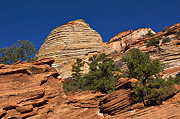 Slickrock and hoodoos - Zion National Park