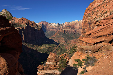 Bridge Mountain, the Towers of the Virgin, and The Streaked Wall. Zion National Park - October 9, 2004.