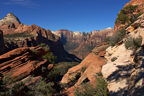 A view from the overlook. Zion National Park - October 9, 2004.