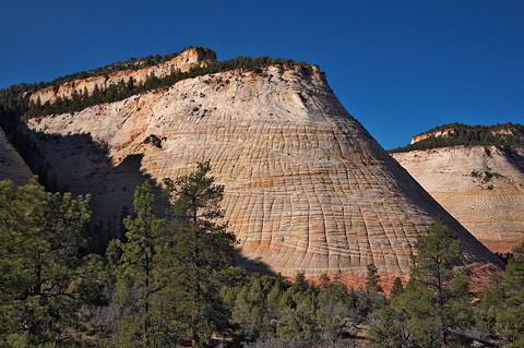 Checkerboard Mesa. Zion National Park - April 7, 2007.