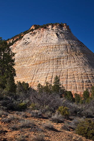 Early morning light on Checkerboard Mesa. Zion National Park - April 7, 2007.