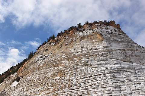 The snow covered cap of Checkerboard Mesa. Zion National Park - February 19, 2006.