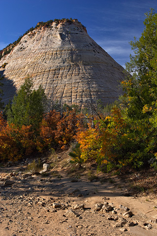 Fall color in Clear Creek. Zion National Park - September 30, 2006.