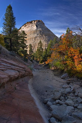 Checkerboard Mesa and Clear Creek. Zion National Park - September 30, 2006.