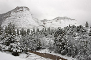 Checkerboard Mesa in the snow - Zion National Park