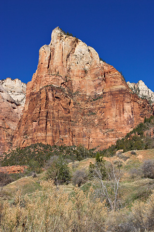 Isaac near the Virgin River. Zion National Park - March 17, 2004.