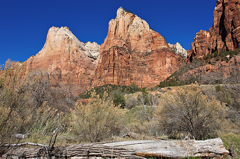 Abraham and Isaac near the Virgin River. Zion National Park - March 17, 2004.