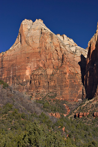 Abraham. Zion National Park - March 26, 2006.