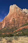 Abraham from the Sand Bench Trail - Zion National Park