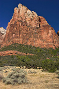 Isaac from the Sand Bench Trail - Zion National Park