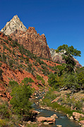 Jacob, Mount Moroni, and the Virgin River - Zion National Park