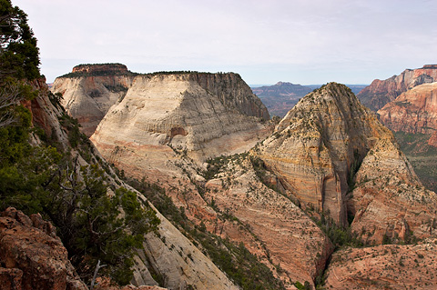 The East Temple, Twin Brothers, and the Mountain of the Sun. Zion National Park - May 14, 2005.