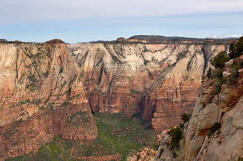 Lady Mountain, Castle Dome, and the Emerald Pools. Zion National Park - May 14, 2005.