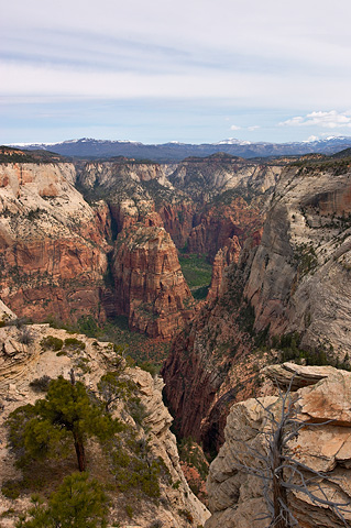 Angels Landing and the Temple of Sinawava. Zion National Park - May 14, 2005.