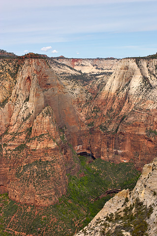 Lady Mountain and Castle Dome tower above the Emerald Pools. Zion National Park - May 14, 2005.