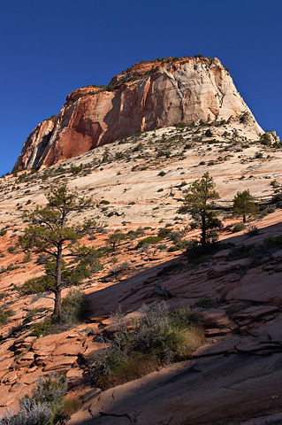 The East Temple at the Canyon Overlook Trail. Zion National Park - May 13, 2005.