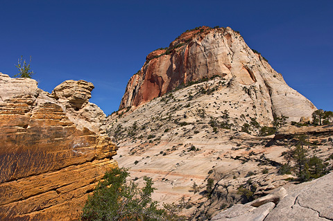 The East Temple. Zion National Park - May 13, 2005.