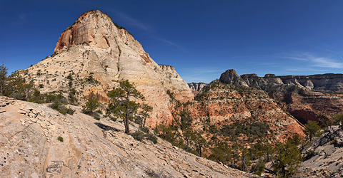 The East Temple, and Deertrap Mountain. Zion National Park - May 13, 2005.