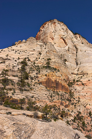 A profile of The East Temple. Zion National Park - May 13, 2005.