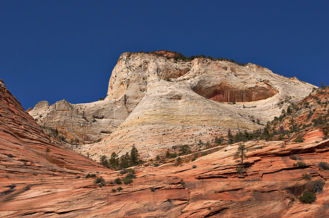 Red, white, and blue. Zion National Park - May 13, 2005.