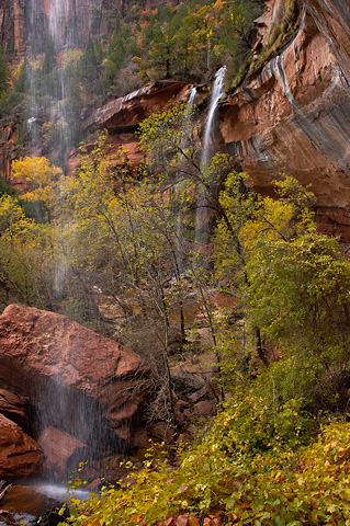 Surrounded by waterfalls on the Lower Emerald Pools Trail. Zion National Park - October 29, 2004.