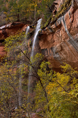 Waterfalls as seen from the Lower Emerald Pools Trail. Zion National Park - October 29, 2004.