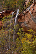 Waterfalls as seen from the Lower Emerald Pools Trail - Zion National Park