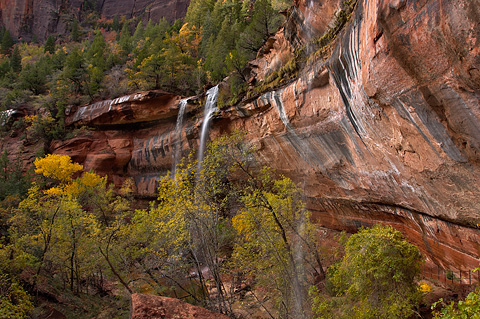 Waterfalls viewed from the Lower Emerald Pools Trail. Zion National Park - October 29, 2004.