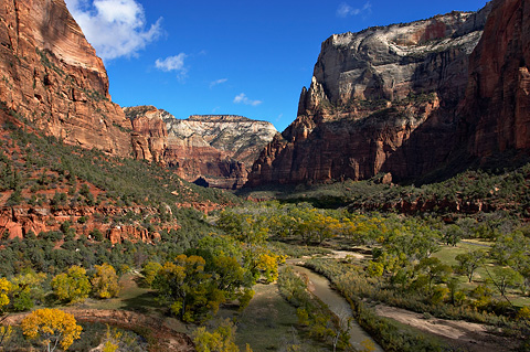Looking north up the canyon from the Middle Emerald Pools Trail. Zion National Park - October 29, 2004.