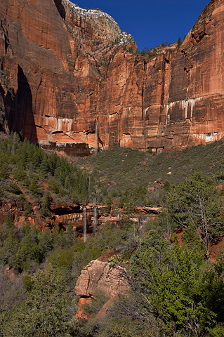 Heaps Canyon and the Emerald Pools waterfalls. Zion National Park - March 26, 2005.