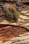 Zion National Park