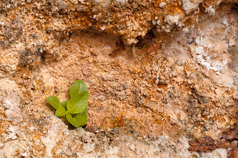 Zion National Park - April 8, 2007.