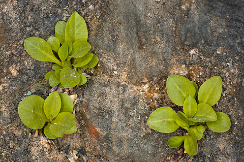 Zion National Park - April 8, 2007.