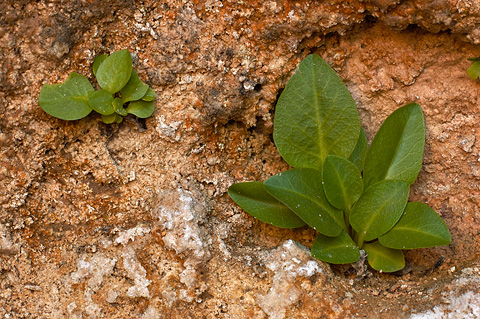 Zion National Park - May 30, 2005.