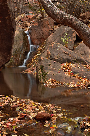 A cascade at Grotto Springs. Zion National Park - November 6, 2005.